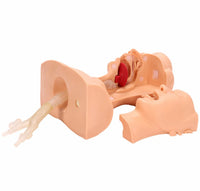 Simulador traqueotomia con bronquios traqueal traquea