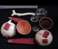 Anatomia de ojo humano en 10 piezas