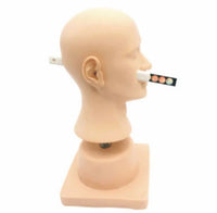 Simulador de diagnostico de patologías y enfermedades del oído