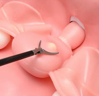 Simulador Uterino histeroscopia utero endoscopia