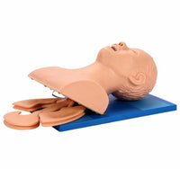 Modelo de intubacion traqueal traqueotomia-Adulto