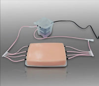 Simulador punción vascular PICC ultrasonido