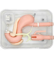 simulador de endoscopia ERCP Cirugía de gastroscopia duodenoscopia