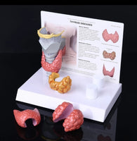 Patologia de tiroides