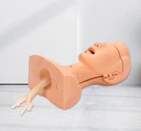 Simulador traqueotomia con bronquios traqueal traquea