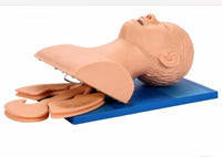 Modelo de intubacion traqueal traqueotomia-Adulto