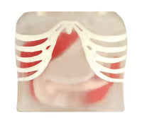 Simulador de Ultrasonido endoscopio endoscopia