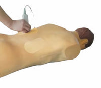 Simulador de Nefroscopia percutánea guiada por ultrasonido rayos X Avanzado