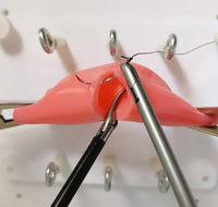 Kit De Modelo De Sutura Intestinal