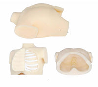 Simulador de entrenamiento toracoscopico cardiotorácico de toracoscopica Toraxico