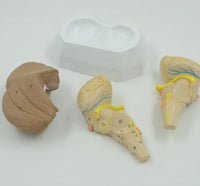 Modelo anatomico Cerebelo tronco encefalico cerebro