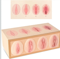 Modelo anatomico de vagina, modelo de comparacion de estanqueidad/estrechez vaginal