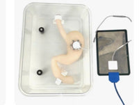 Simulador de Disección submucosa endoscópica ESD endoscopia