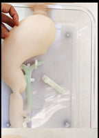 Modelo simulador laparoscopia de entrenamiento endoscopio estomago gastroscopica Completo
