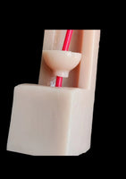 Modelo de anastomosis ureteral vejiga uretra