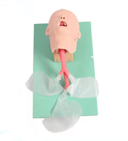 Simulador de intubacion endotraqueal-