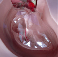 Simulador de enfermería de nutrición parenteral cateterismo venoso central