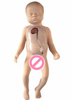 Simulador Neonatal De Intubacion Vena Central bebé pediatría