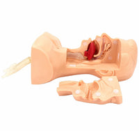Simulador traqueotomia con bronquios traqueal traquea