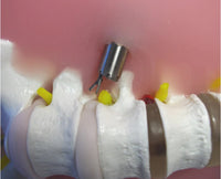 Simulador endoscopia columna humana espalda laparascopia