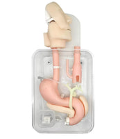 simulador de endoscopia ERCP Cirugía de gastroscopia duodenoscopia