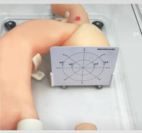 Modelo de entrenamiento de gastroscopia entrenamiento lateral de gastroduodeno