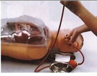 Simulador lavado gastrico medio cuerpo transparente