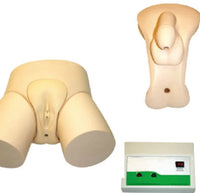 Simulador de Cateterismo Bisexual Monitor Electrónico Avanzado