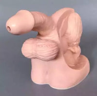 Modelo de cateterismo para anatomía masculina