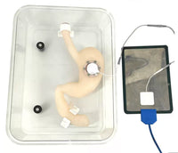 Simulador de Disección submucosa endoscópica ESD endoscopia