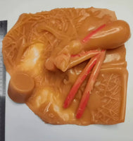Simulación sutura realista cirugia de organos laparoscopia Kit