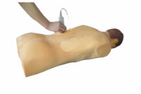 Simulador de Nefroscopia percutánea guiada por ultrasonido rayos X Avanzado