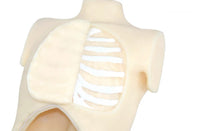 Simulador de entrenamiento toracoscopico cardiotorácico de toracoscopica Toraxico