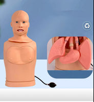 Simulador Nasogastrico y traqueal de enfermería Avanzado