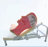 Simulador de deglucion enfermeria posiciones correctas comer