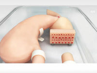 Modelo de entrenamiento de gastroscopia entrenamiento lateral de gastroduodeno