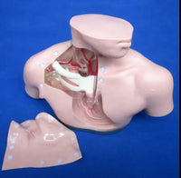 Simulador de enfermería de nutrición parenteral cateterismo venoso central