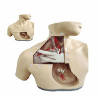 Simulador de enfermería de nutrición parenteral cateterismo venoso central
