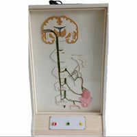 Simulador eléctrico neuronal del sentido del Gusto