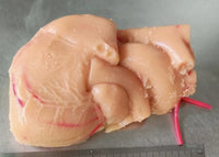 Simulación sutura realista cirugia de organos laparoscopia Kit