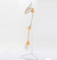 Extremidad Superior o Inferior con Ligamentos Pierna Brazo en base