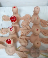 Modelo de lesion uterina uterina de cervix