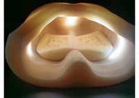 Simulador de entrenamiento toracoscopico cardiotorácico de toracoscopica Toraxico