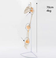 Extremidad Superior o Inferior con Ligamentos Pierna Brazo en base