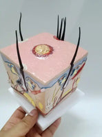 Modelo Foliculo capital Patologías - Caspa