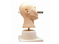 Simulador de diagnostico de patologías y enfermedades del oído