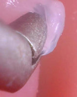 Simulador Neurocirugia endoscopia nasal craneo y cerebro - HD Video avanzado