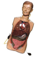 Simulador lavado gastrico medio cuerpo transparente