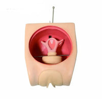 Simulador de entrenamiento anticonceptivo DIU