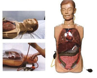 Simulador lavado gastrico medio cuerpo transparente